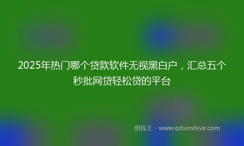 2025年热门哪个贷款软件无视黑白户，汇总五个秒批网贷轻松贷的平台
