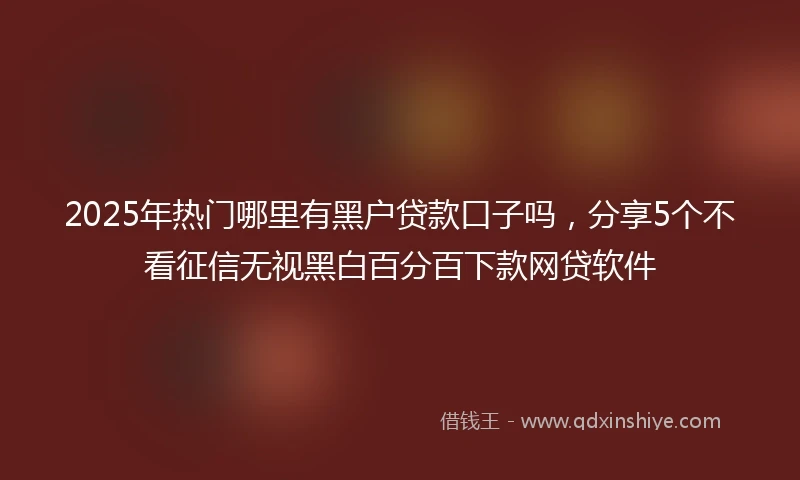 2025年热门哪里有黑户贷款口子吗，分享5个不看征信无视黑白百分百下款网贷软件