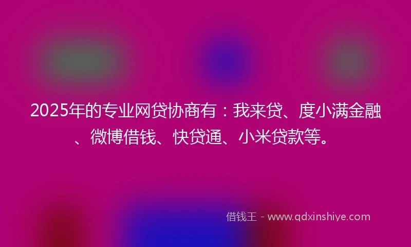 2025年的专业网贷协商有：我来贷、度小满金融、微博借钱、快贷通、小米贷款等。