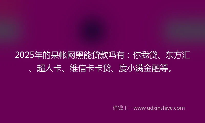 2025年的呆帐网黑能贷款吗有：你我贷、东方汇、超人卡、维信卡卡贷、度小满金融等。