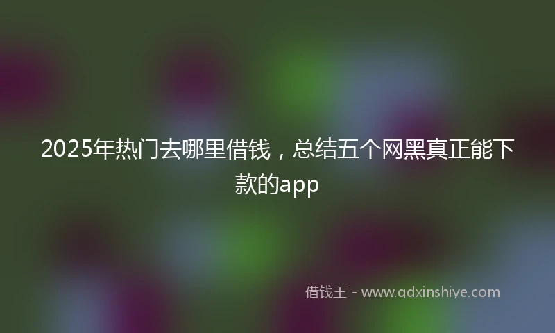 2025年热门去哪里借钱，总结五个网黑真正能下款的app