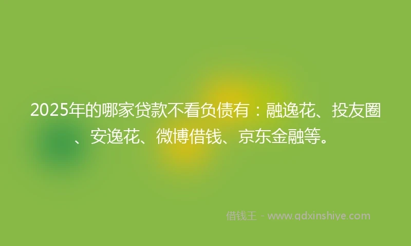 2025年的哪家贷款不看负债有：融逸花、投友圈、安逸花、微博借钱、京东金融等。