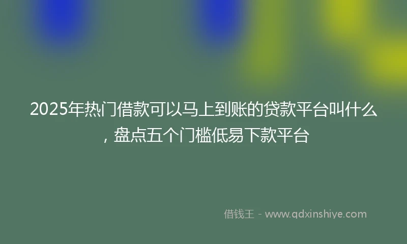 2025年热门借款可以马上到账的贷款平台叫什么,盘点五个门槛低易下款平台