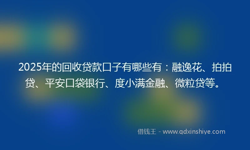 2025年的回收贷款口子有哪些有：融逸花、拍拍贷、平安口袋银行、度小满金融、微粒贷等。