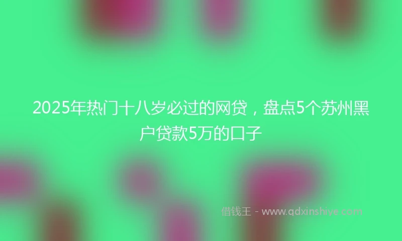 2025年热门十八岁必过的网贷，盘点5个苏州黑户贷款5万的口子