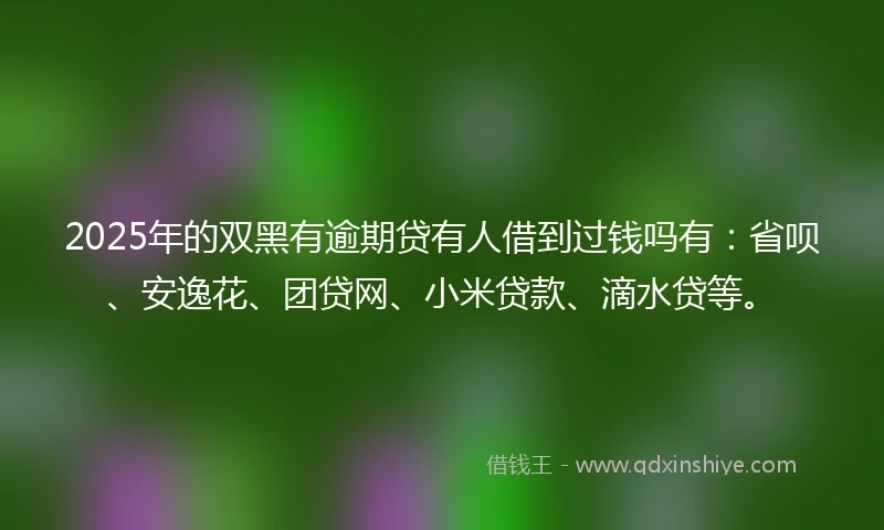 2025年的双黑有逾期贷有人借到过钱吗有：省呗、安逸花、团贷网、小米贷款、滴水贷等。