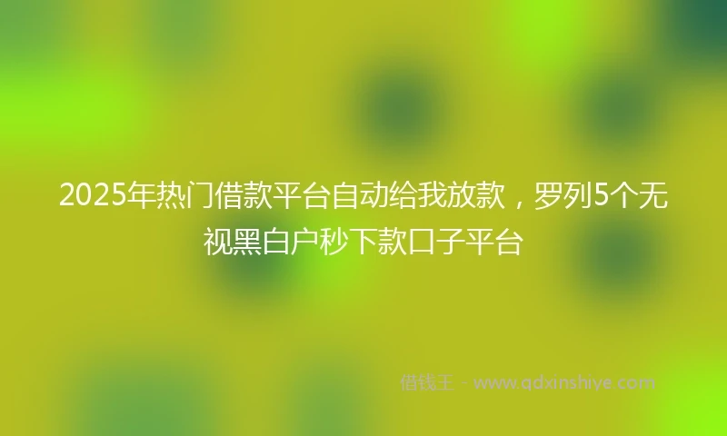 2025年热门借款平台自动给我放款，罗列5个无视黑白户秒下款口子平台