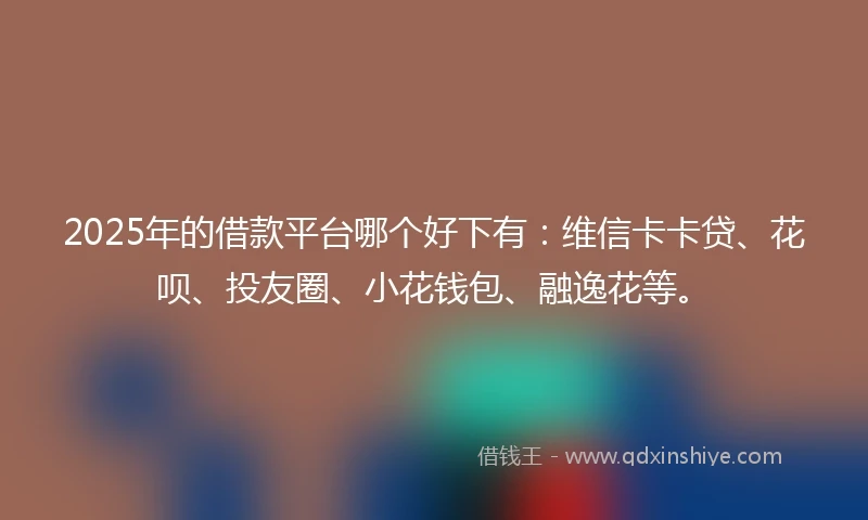 2025年的借款平台哪个好下有：维信卡卡贷、花呗、投友圈、小花钱包、融逸花等。