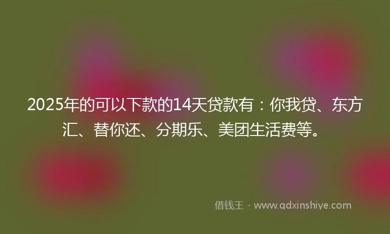 2025年的可以下款的14天贷款有：你我贷、东方汇、替你还、分期乐、美团生活费等。