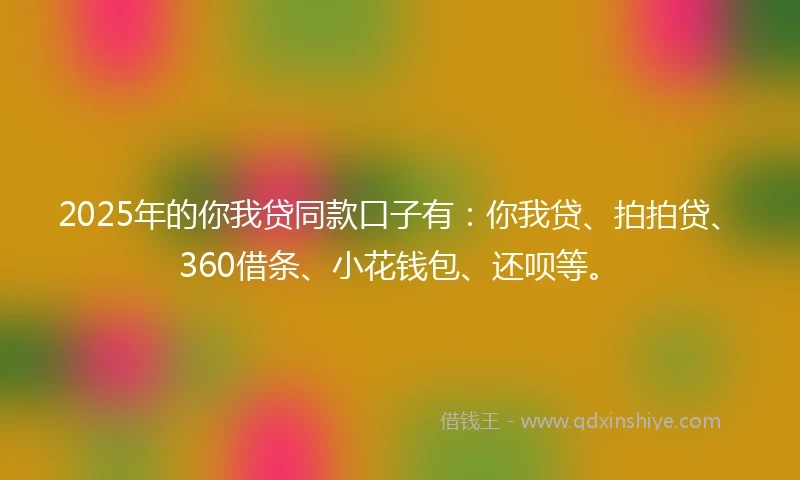 2025年的你我贷同款口子有：你我贷、拍拍贷、360借条、小花钱包、还呗等。