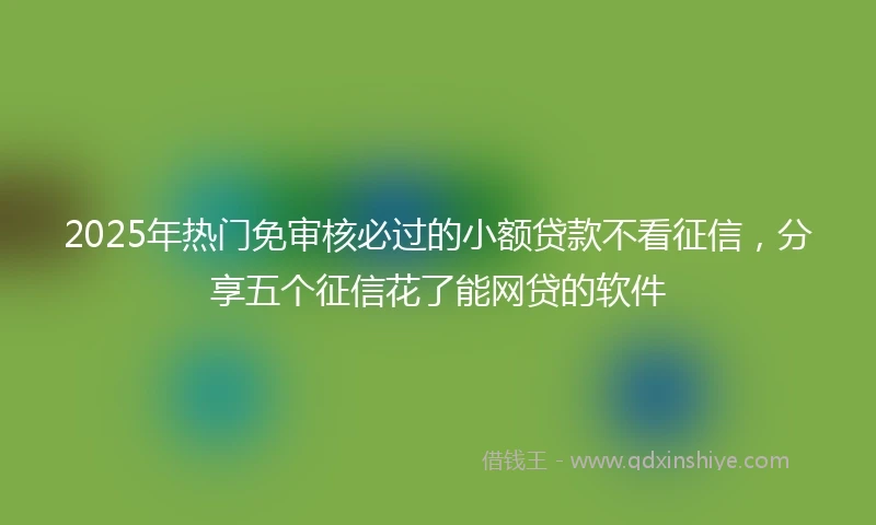 2025年热门免审核必过的小额贷款不看征信，分享五个征信花了能网贷的软件