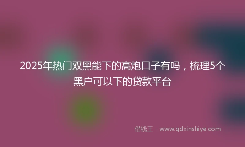 2025年热门双黑能下的高炮口子有吗，梳理5个黑户可以下的贷款平台
