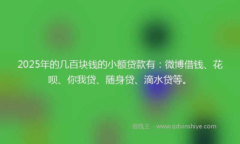 2025年的几百块钱的小额贷款有：微博借钱、花呗、你我贷、随身贷、滴水贷等。