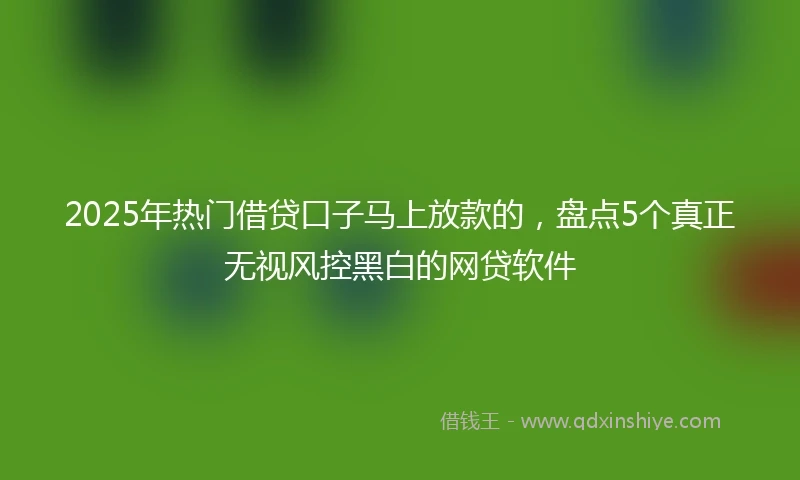 2025年热门借贷口子马上放款的，盘点5个真正无视风控黑白的网贷软件
