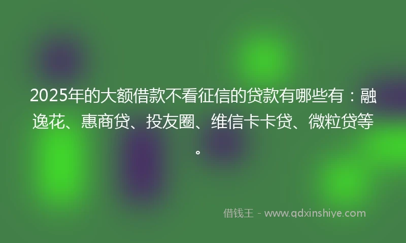 2025年的大额借款不看征信的贷款有哪些有：融逸花、惠商贷、投友圈、维信卡卡贷、微粒贷等。