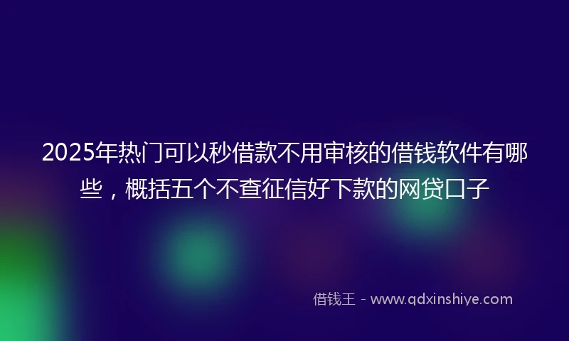 2025年热门可以秒借款不用审核的借钱软件有哪些，概括五个不查征信好下款的网贷口子