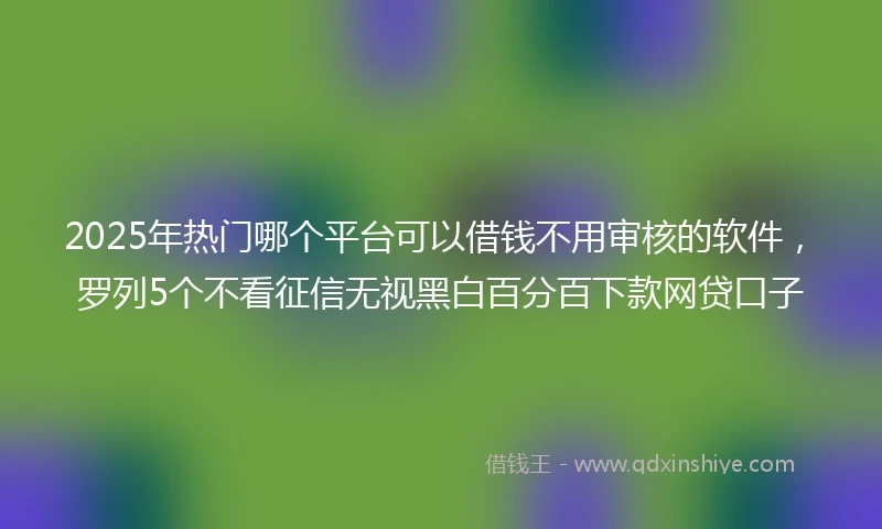 2025年热门哪个平台可以借钱不用审核的软件，罗列5个不看征信无视黑白百分百下款网贷口子