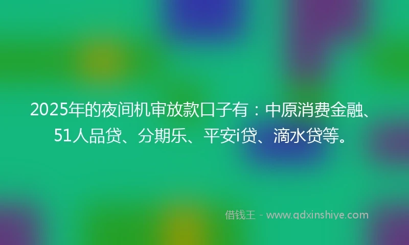 2025年的夜间机审放款口子有：中原消费金融、51人品贷、分期乐、平安i贷、滴水贷等。