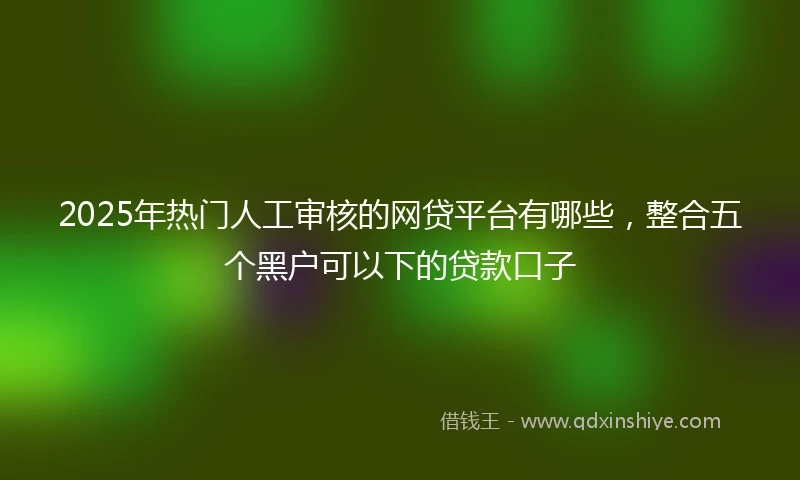 2025年热门人工审核的网贷平台有哪些，整合五个黑户可以下的贷款口子