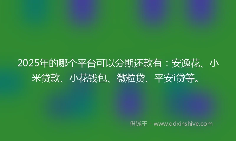 2025年的哪个平台可以分期还款有：安逸花、小米贷款、小花钱包、微粒贷、平安i贷等。
