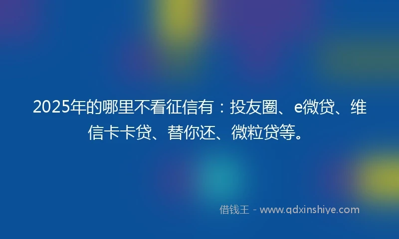 2025年的哪里不看征信有：投友圈、e微贷、维信卡卡贷、替你还、微粒贷等。