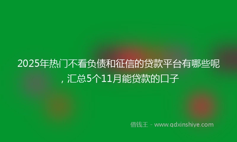 2025年热门不看负债和征信的贷款平台有哪些呢，汇总5个11月能贷款的口子