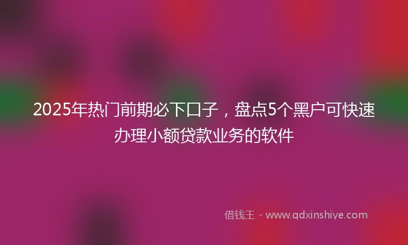 2025年热门前期必下口子，盘点5个黑户可快速办理小额贷款业务的软件