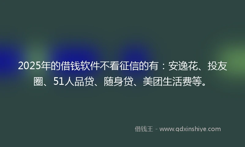 2025年的借钱软件不看征信的有：安逸花、投友圈、51人品贷、随身贷、美团生活费等。