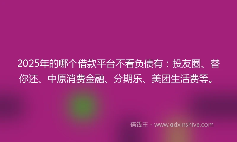 2025年的哪个借款平台不看负债有：投友圈、替你还、中原消费金融、分期乐、美团生活费等。