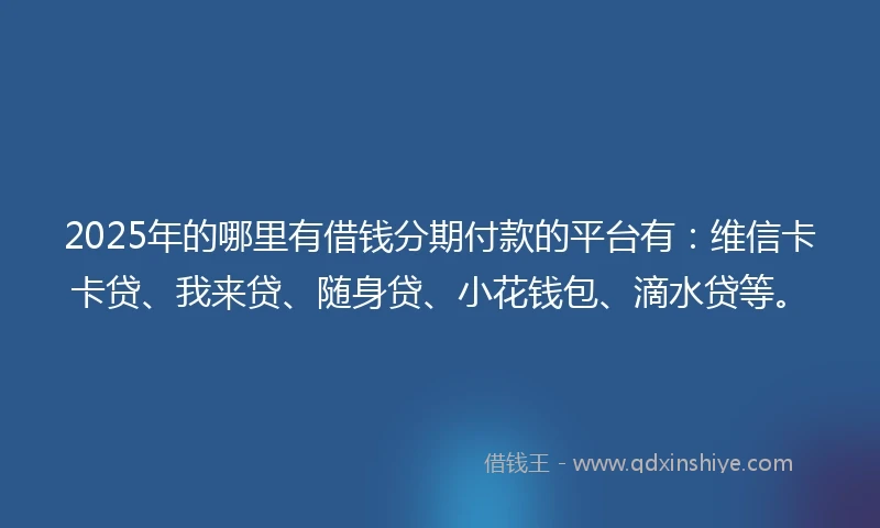 2025年的哪里有借钱分期付款的平台有：维信卡卡贷、我来贷、随身贷、小花钱包、滴水贷等。