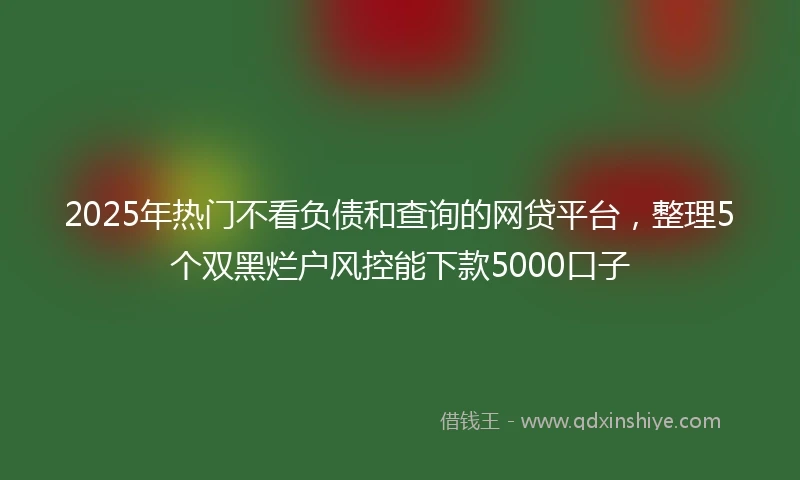 2025年热门不看负债和查询的网贷平台,整理5个双黑烂户风控能下款5000口子