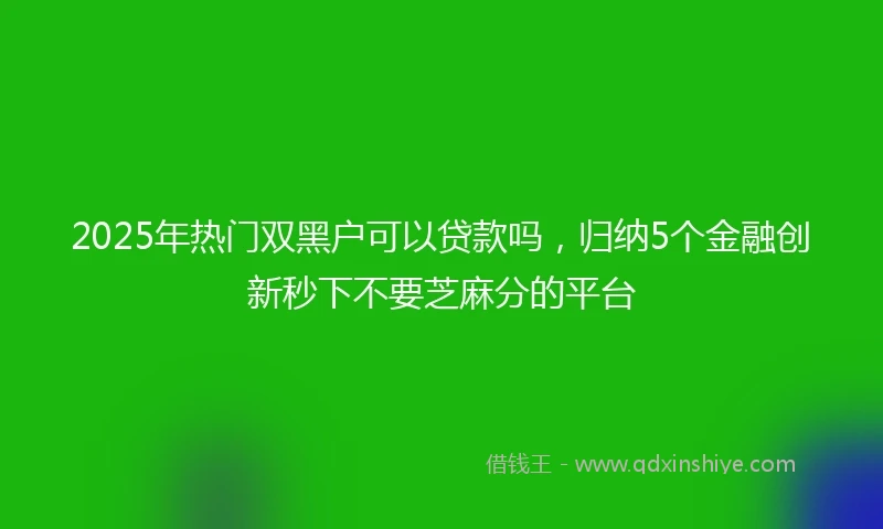2025年热门双黑户可以贷款吗，归纳5个金融创新秒下不要芝麻分的平台