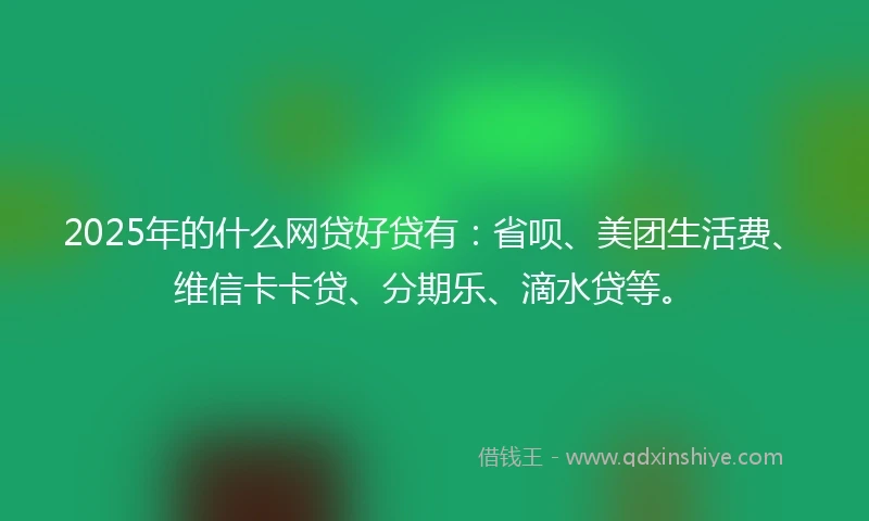 2025年的什么网贷好贷有：省呗、美团生活费、维信卡卡贷、分期乐、滴水贷等。