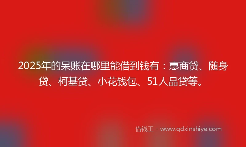 2025年的呆账在哪里能借到钱有：惠商贷、随身贷、柯基贷、小花钱包、51人品贷等。