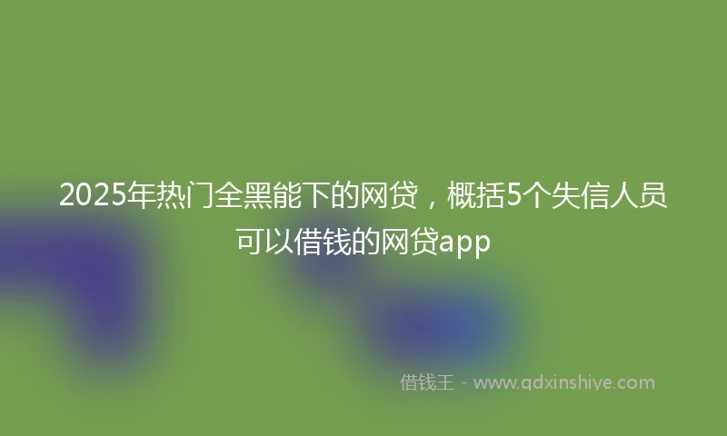 2025年热门全黑能下的网贷，概括5个失信人员可以借钱的网贷app