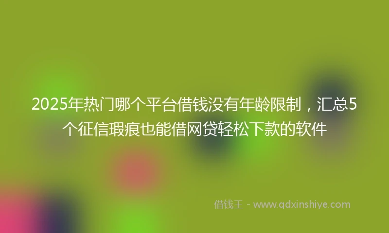 2025年热门哪个平台借钱没有年龄限制，汇总5个征信瑕疵也能借网贷轻松下款的软件