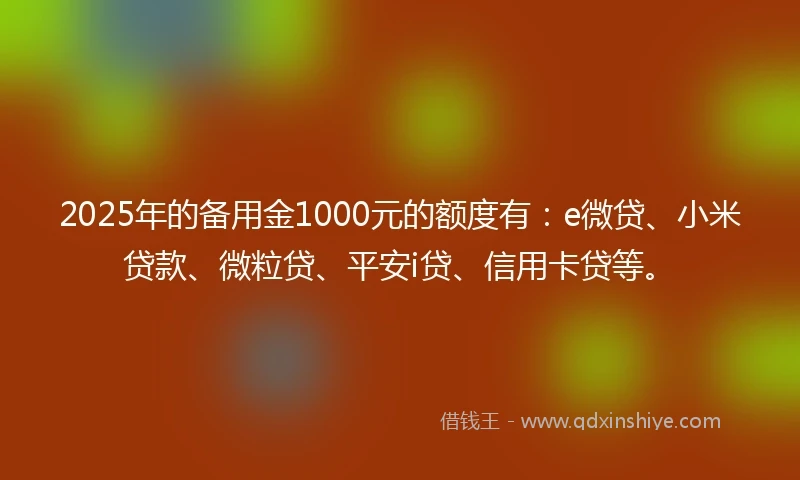 2025年的备用金1000元的额度有：e微贷、小米贷款、微粒贷、平安i贷、信用卡贷等。