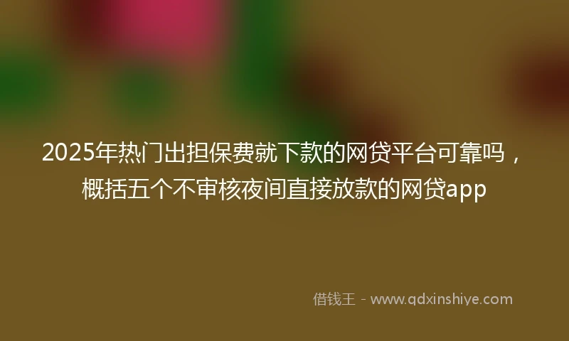 2025年热门出担保费就下款的网贷平台可靠吗，概括五个不审核夜间直接放款的网贷app