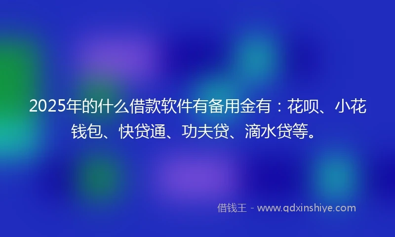 2025年的什么借款软件有备用金有:花呗、小花钱包、快贷通、功夫贷、滴水贷等。