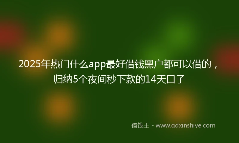 2025年热门什么app最好借钱黑户都可以借的,归纳5个夜间秒下款的14天口子