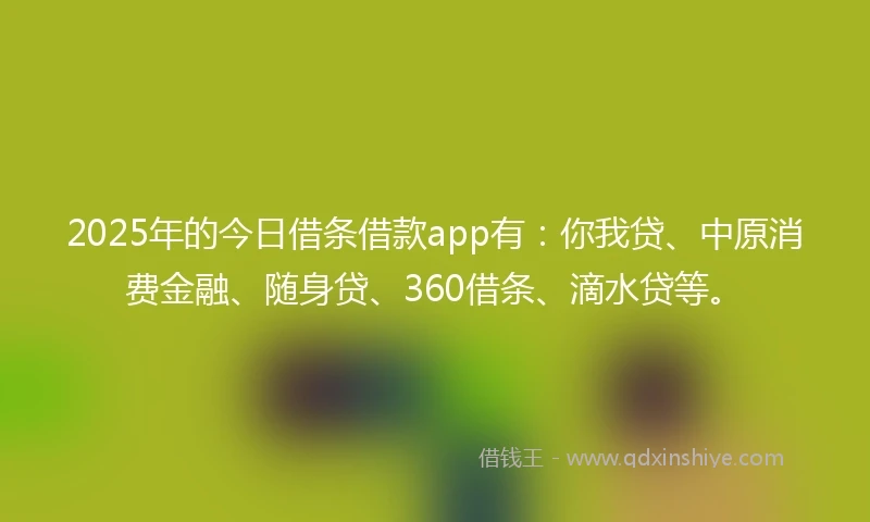 2025年的今日借条借款app有：你我贷、中原消费金融、随身贷、360借条、滴水贷等。