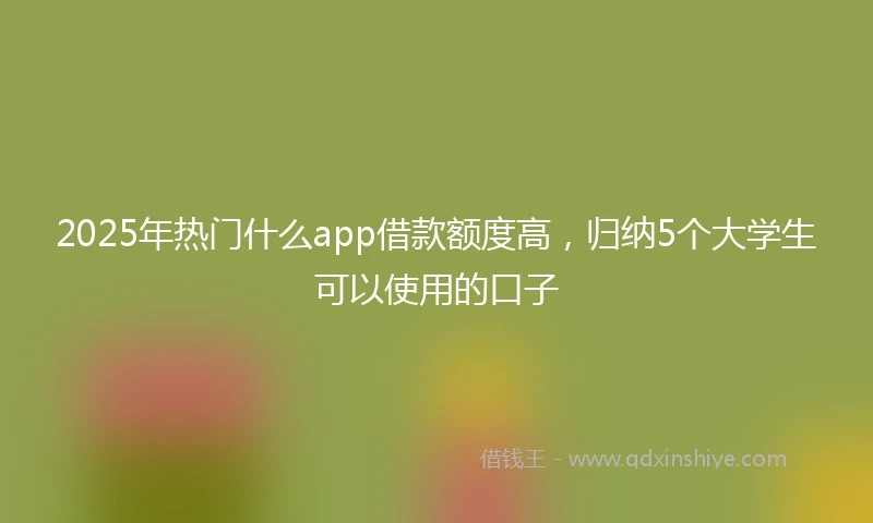 2025年热门什么app借款额度高，归纳5个大学生可以使用的口子