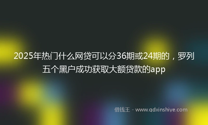 2025年热门什么网贷可以分36期或24期的，罗列五个黑户成功获取大额贷款的app