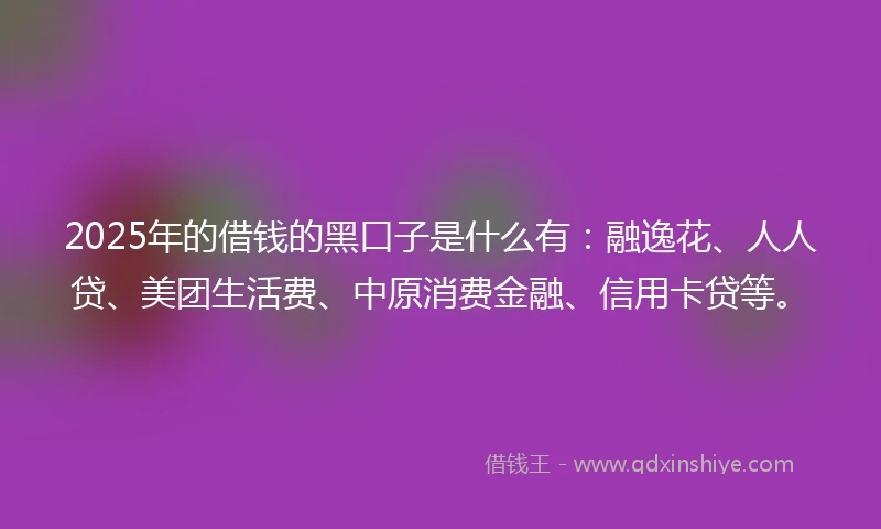 2025年的借钱的黑口子是什么有：融逸花、人人贷、美团生活费、中原消费金融、信用卡贷等。