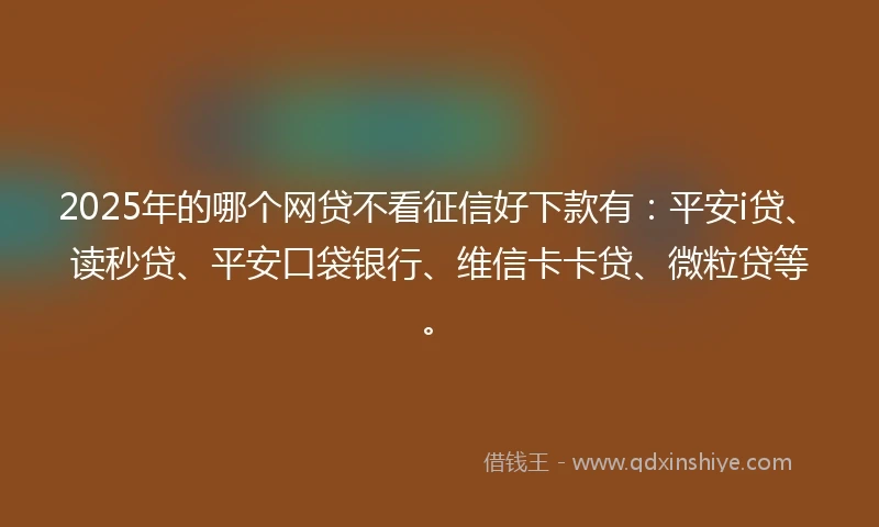 2025年的哪个网贷不看征信好下款有：平安i贷、读秒贷、平安口袋银行、维信卡卡贷、微粒贷等。