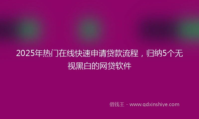 2025年热门在线快速申请贷款流程，归纳5个无视黑白的网贷软件