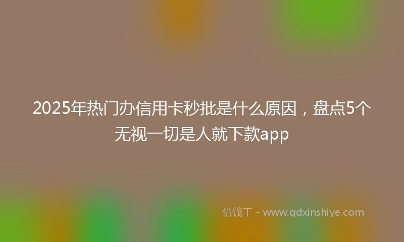 2025年热门办信用卡秒批是什么原因，盘点5个无视一切是人就下款app