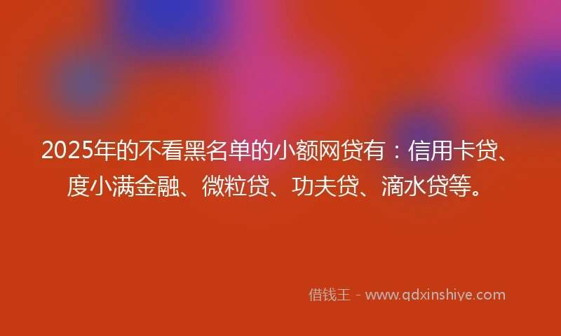 2025年的不看黑名单的小额网贷有：信用卡贷、度小满金融、微粒贷、功夫贷、滴水贷等。