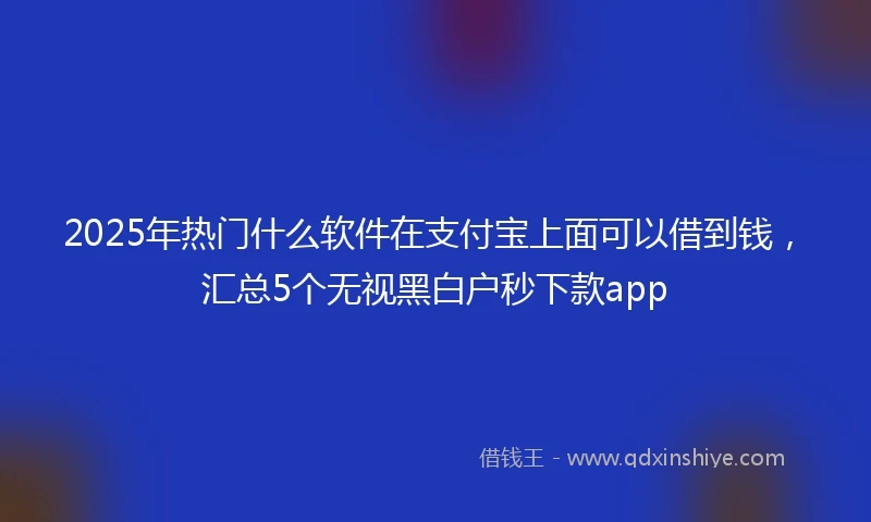 2025年热门什么软件在支付宝上面可以借到钱，汇总5个无视黑白户秒下款app