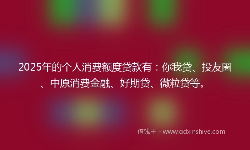 2025年的个人消费额度贷款有：你我贷、投友圈、中原消费金融、好期贷、微粒贷等。